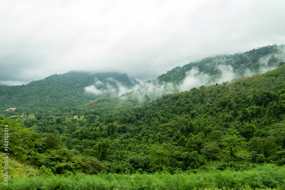 Fototapeta premium landscape of forest moutain with fog in countryside of Thailand