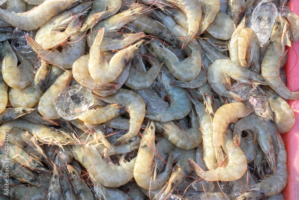 Fresh shrimps in seafood market, Thailand.