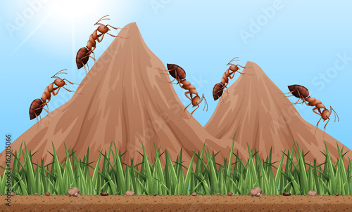 Many ants climbing up the mountains