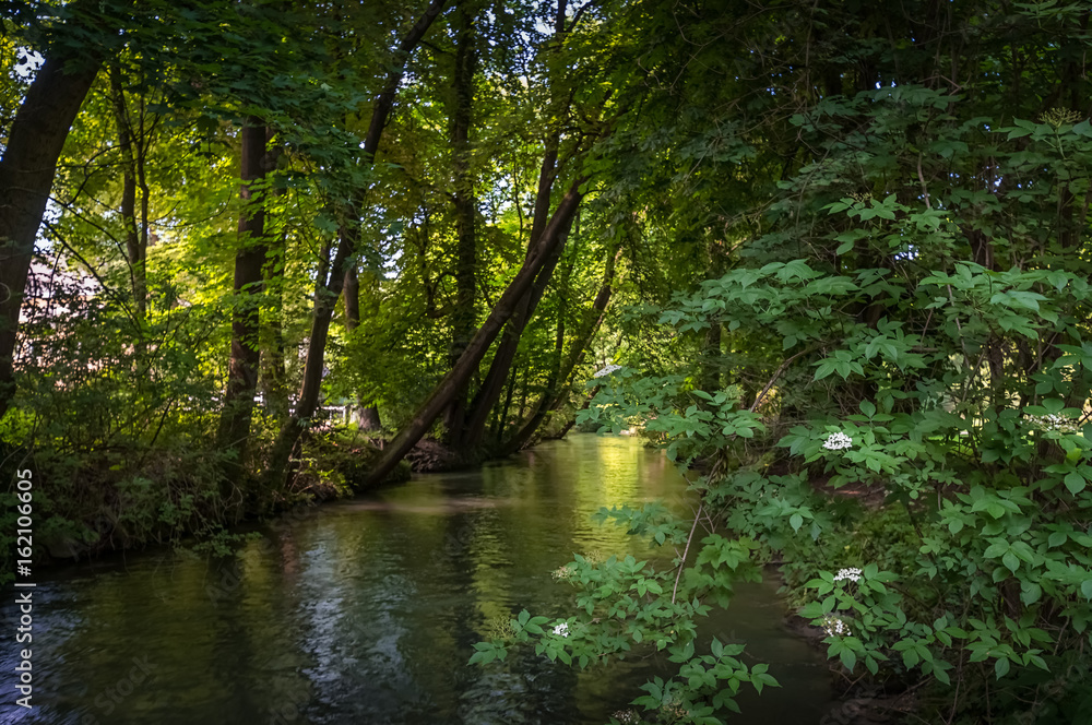 Spaziergang durch den Englischen Garten in München