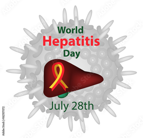 World Hepatitis Day. July 28th. Liver. Red yellow ribbon. Hepatitis C virus. Infographics. Vector illustration on isolated background.