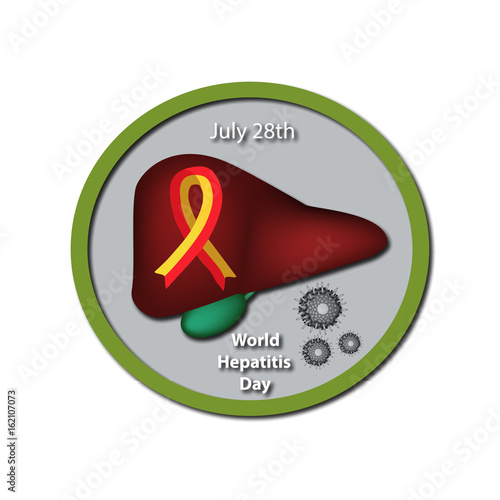 World Hepatitis Day. July 28th. Liver. Red yellow ribbon. Hepatitis C virus. Infographics. Vector illustration on isolated background.