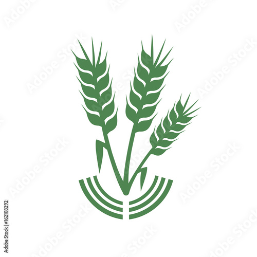 eco food icon