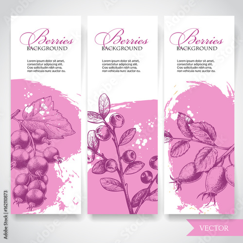 Farm fresh berries banners. Hand drawn branches  with berries. Blueberry, black currant and rose hip on rough pink watercolor paint background with white splashes. Vector berries illustration.