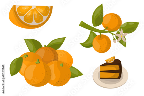 Ripe orange products fruits citrus slices sweet food realistic organic vector...