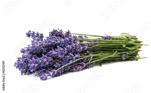 Bouquet of lavender isolated
