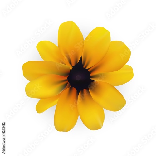 Vector illustration of yellow flower, EPS File