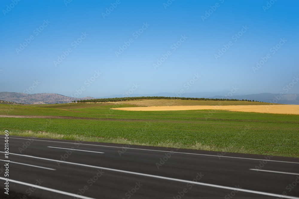Empty Road with Fields