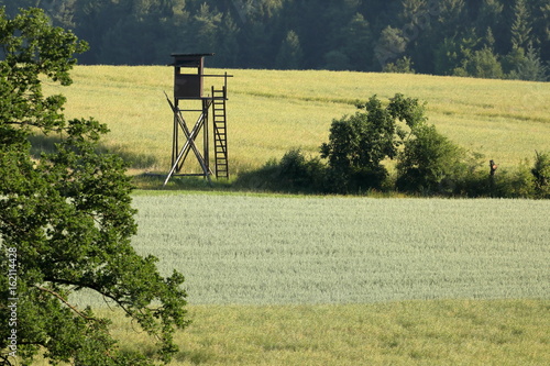 Jägerstuhl oder Hochsitz in der Landschaft  photo