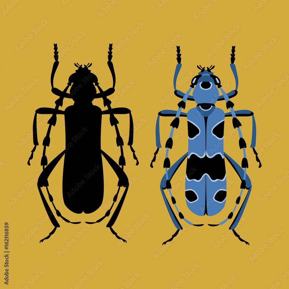 Fototapeta premium beetle vector illustration style Flat black silhouette set