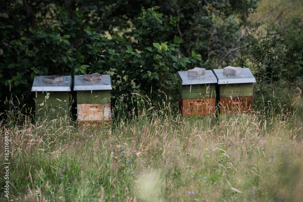 Fototapeta premium Bienenkästen in der Landschaft