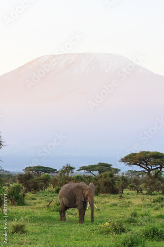View of Kilimanjaro Mountain from Kenya. Eastest Africa © Victor