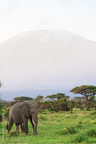 View of Kilimanjaro Mountain from Kenya. Africa