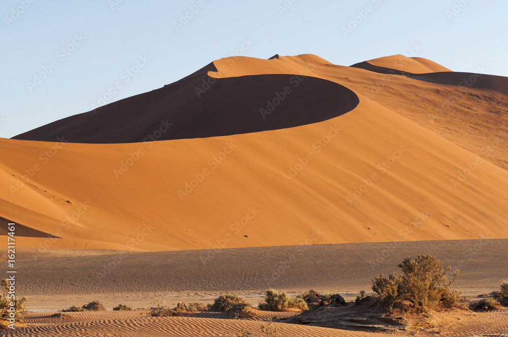 Dunes in the Namib Desert / Dunes in the Namib Desert to the horizon, Namibia, Africa.