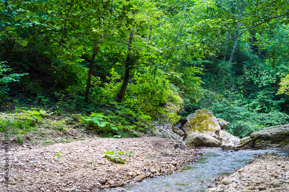 Obraz premium River deep in mountain forest