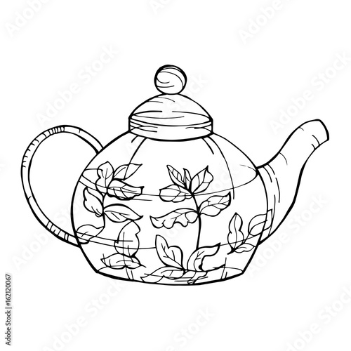 Herbal tea. Hand-drawn  teapot. Vector illustration.