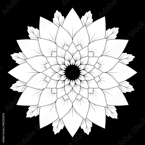 vector black and white round floral natural mandala background - adult coloring book page