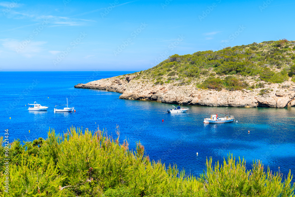 Green plants on cliff and view of boats on sea in Cala Portinatx bay, Ibiza island, Spain