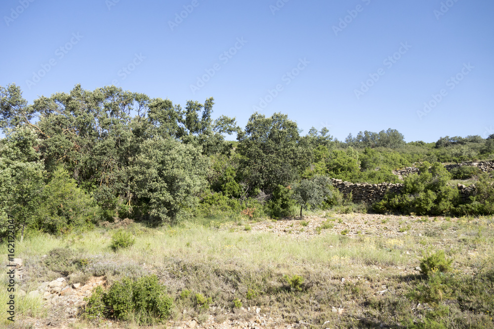 Around the village of Pina de Montalgrao in Castellon Around the village of Pina de Montalgrao in Castellon