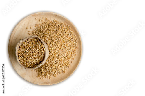 organic seed food for Health