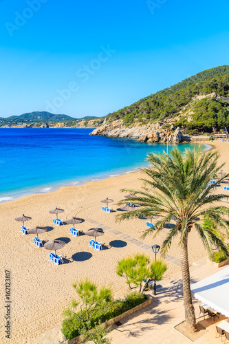 Palm tree and sun loungers on sandy Cala San Vicente beach, Ibiza island, Spain