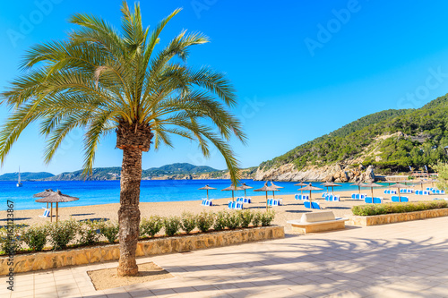 Palm tree on coastal promenade along sandy beach with umbrellas and sunbeds in Cala San Vicente bay on sunny summer day, Ibiza island, Spain