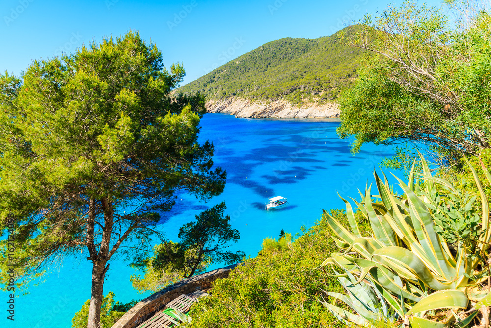 Amazing coast view with azure sea water in Cala San Vicente bay in northern part of Ibiza island, Spain