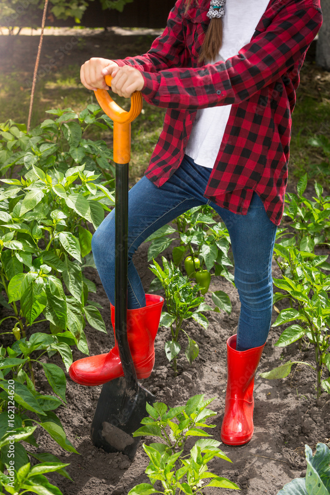 Fototapeta premium Closeup young woman in red wellington boots working on garden bed with shovel