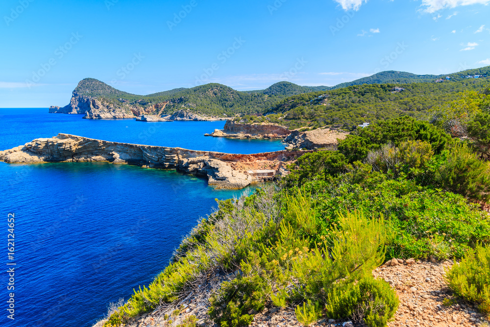 Green coastal path to Punta Galera bay, Ibiza island, Spain