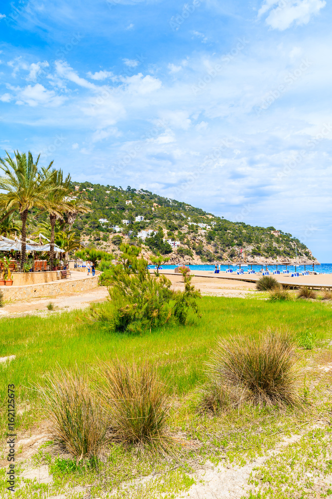 Green coastal area in Cala San Vicente bay Ibiza island, Spain Green coastal area in Cala San Vicente bay Ibiza island, Spain