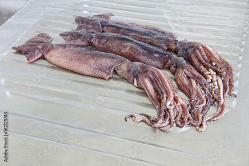 Three raw squids with tentacles on metal kitchen table.
