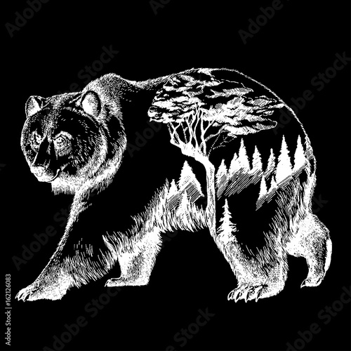 Vector bear double exposure tattoo art. Canada. Mountains, compass. Brown bear Bear grizzly silhouette t-shirt design Tourism symbol, adventure, great outdoor.