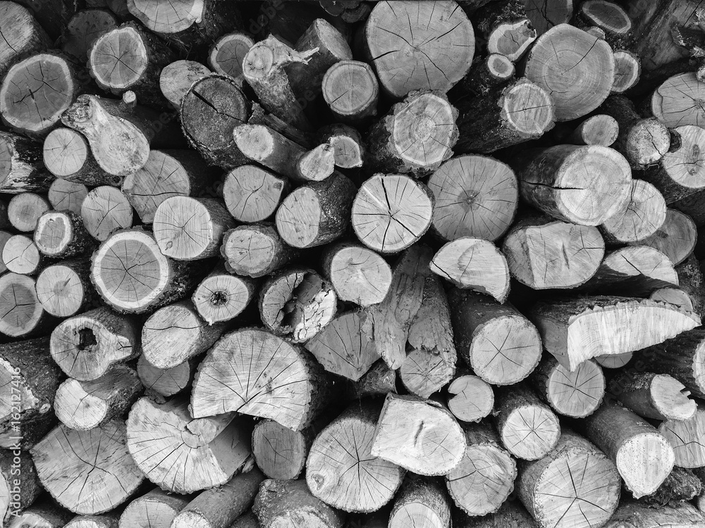 Natural wooden texture black and white background, closeup of round logs firewood. Firewood stacked and prepared stack of natural material design. Natural wooden texture black and white background, closeup of round logs firewood. Firewood stacked and prepared stack of natural material design.