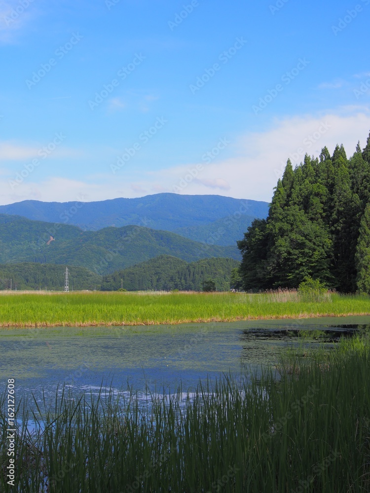 秋田県仙北市 大沼公園 秋田県仙北市 大沼公園