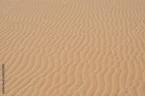 Yellow sand in the desert, Vietnam photo