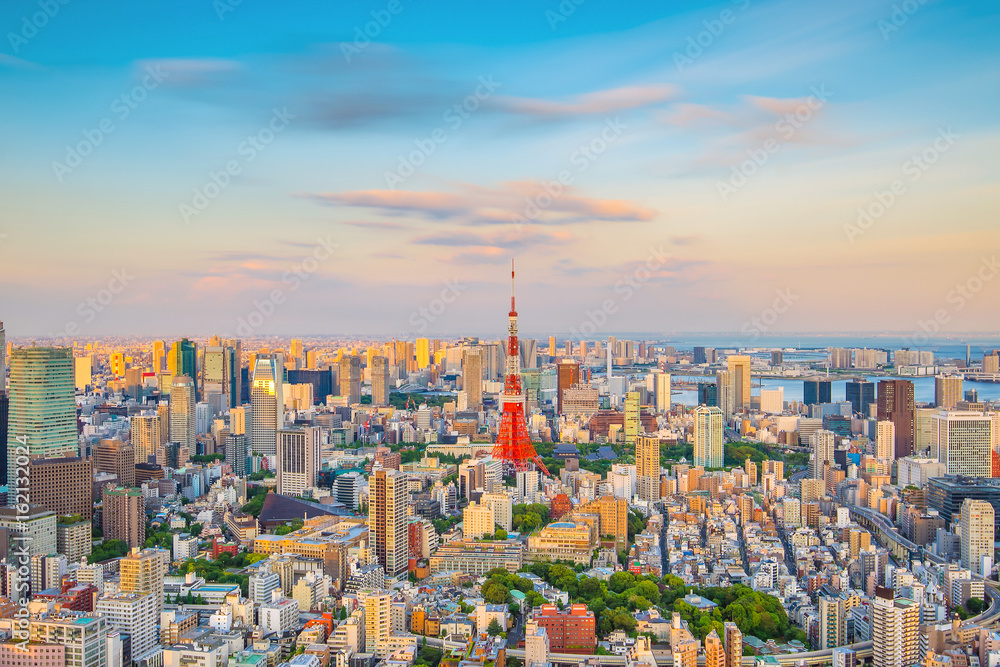 Naklejka premium Tokyo skyline with Tokyo Tower in Japan