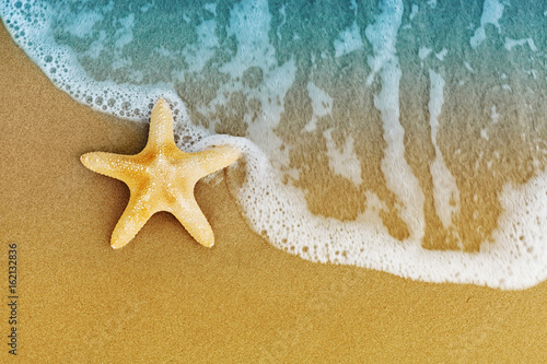 Sea star or starfish on sandy shore after the tide.