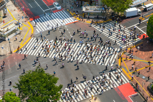 Shibuya Crossing from top view