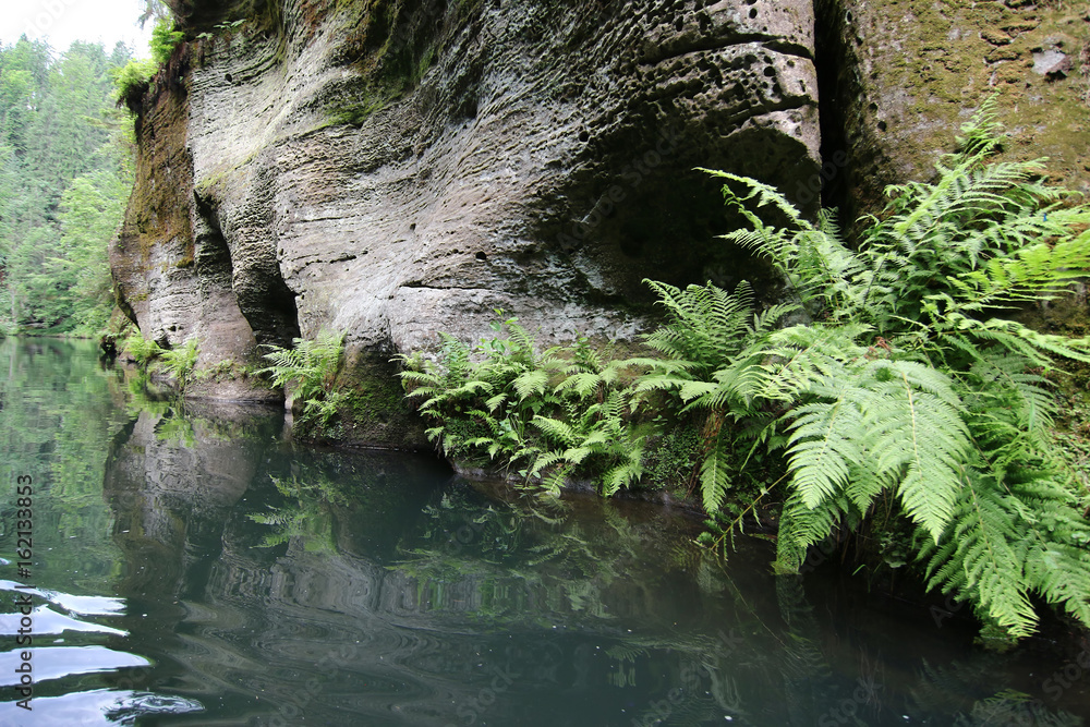 Fototapeta premium Cruise on the boat - Gorges on the Kamenice River