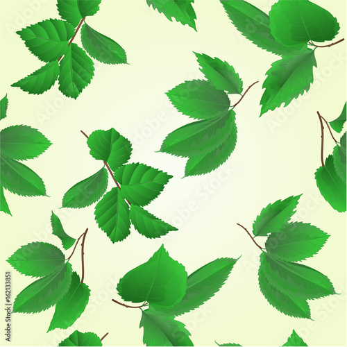 Seamless texture branches with leaves of roses vintage set second vector illustration hand draw