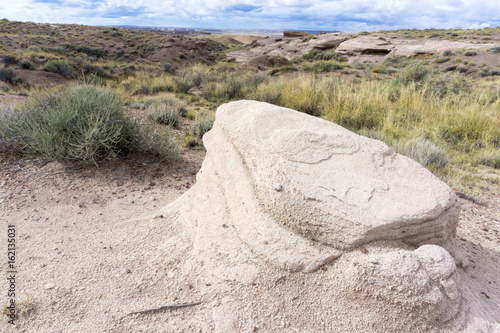 Weathered sandstone of the Chilne formatation in the Petrifiled Forest National Park, AZ. photo