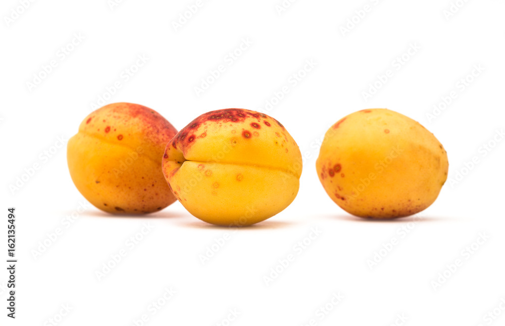 Apricot on white background