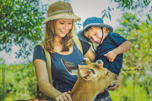 Mother and son feeding beautiful deer from hands in a tropical Zoo photo