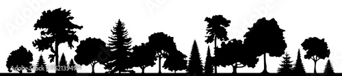 Silhouetten Laub- und Nadelwald