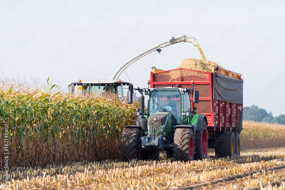 Obraz premium harvesting corn in the netherlands