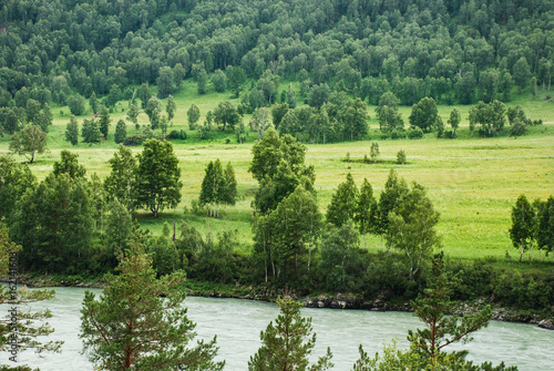 Altai, Russia, mountain river Katun, panorama, forest and meadow, wild landscape, beautiful nature