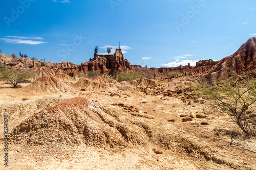 Photo Plants and orange rock formations of Tatacoa desert, Colombia