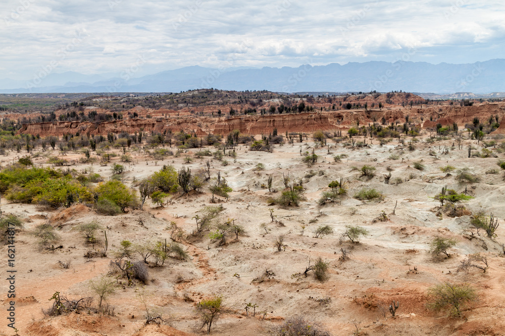 Landscape of Tatacoa desert, Colombia