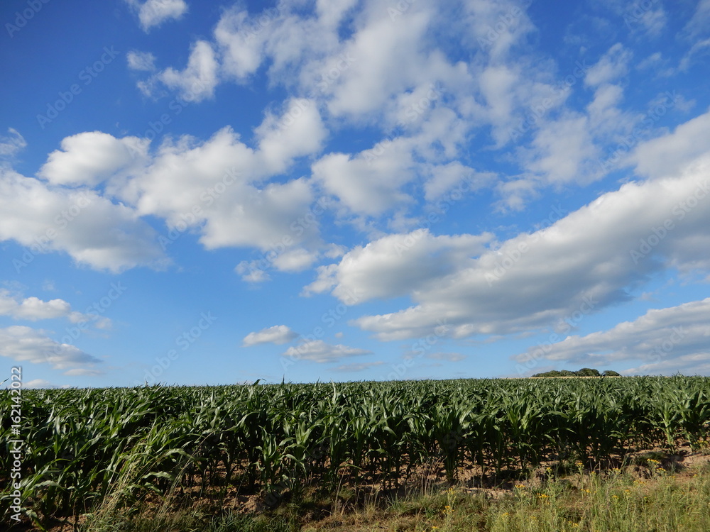 Fototapeta premium Blauer Himmel überm Land