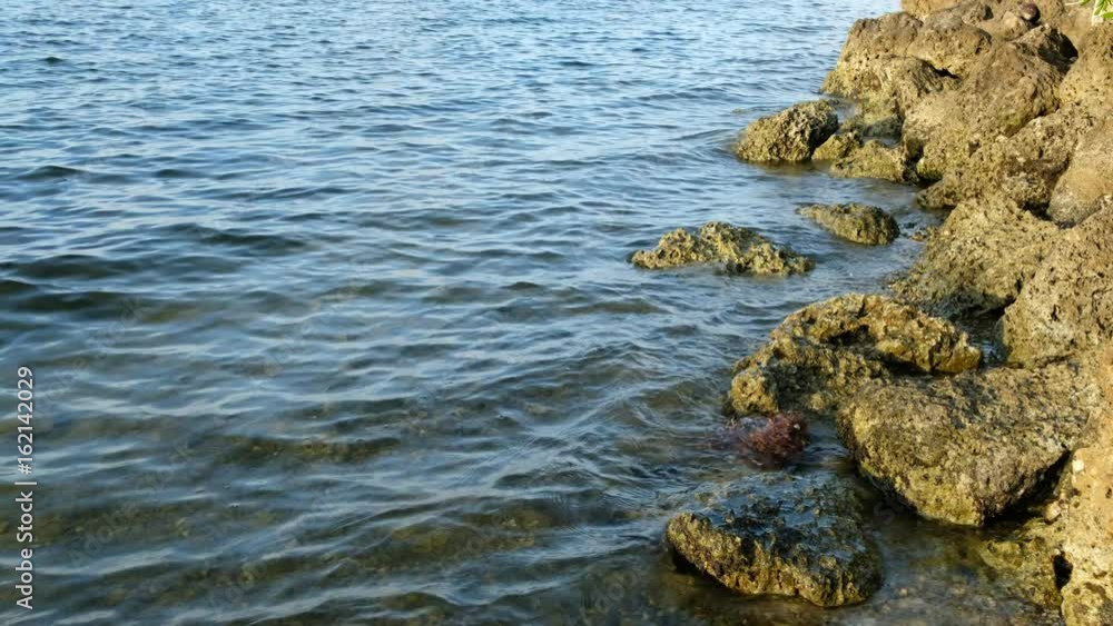 Small Waves on Coral Rock in Miami Small Waves on Coral Rock in Miami